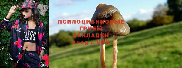 твердый Белокуриха