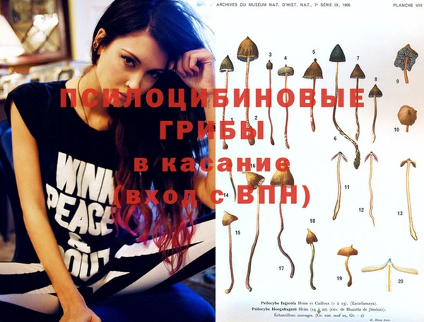 твердый Белокуриха