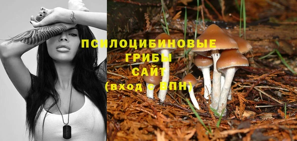 твердый Белокуриха