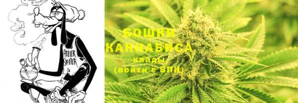 твердый Белокуриха