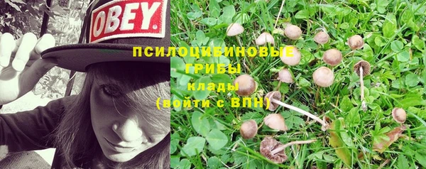 твердый Ростов