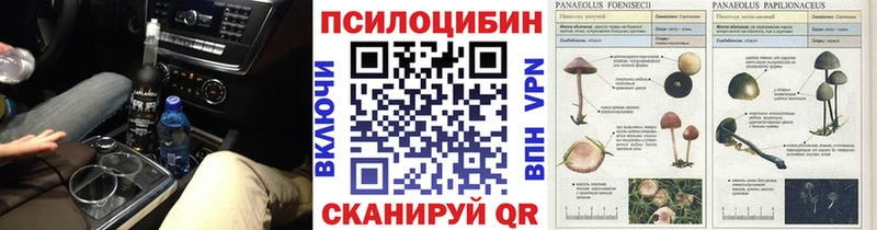 Галлюциногенные грибы мицелий  кракен сайт  Неман  купить  сайты 